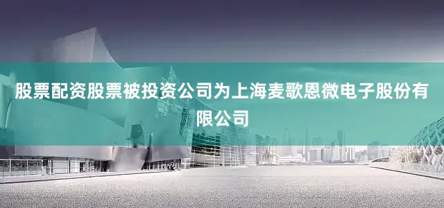 股票配资股票被投资公司为上海麦歌恩微电子股份有限公司